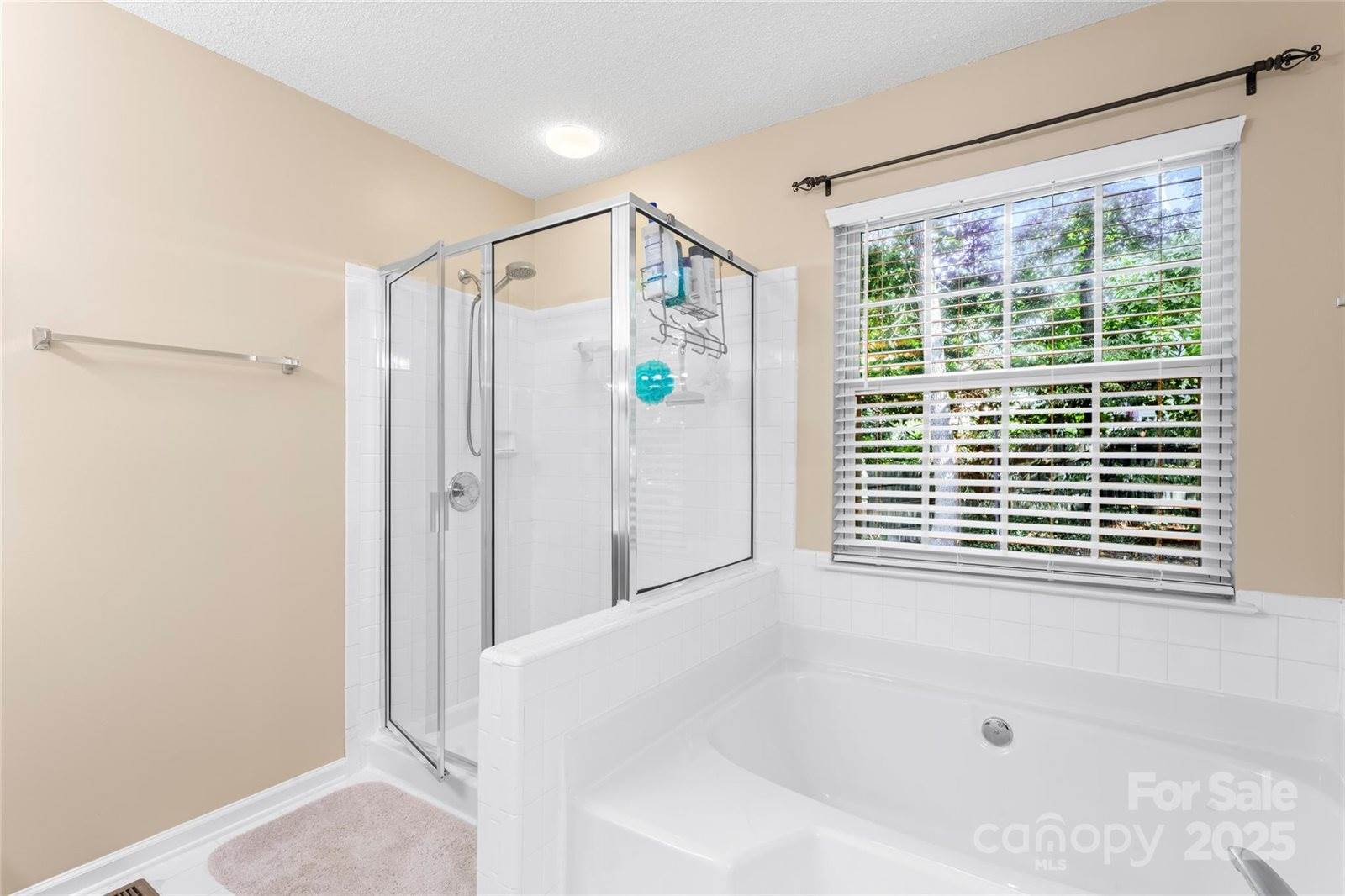 13409 Cocheco Court, Huntersville, NC 28078