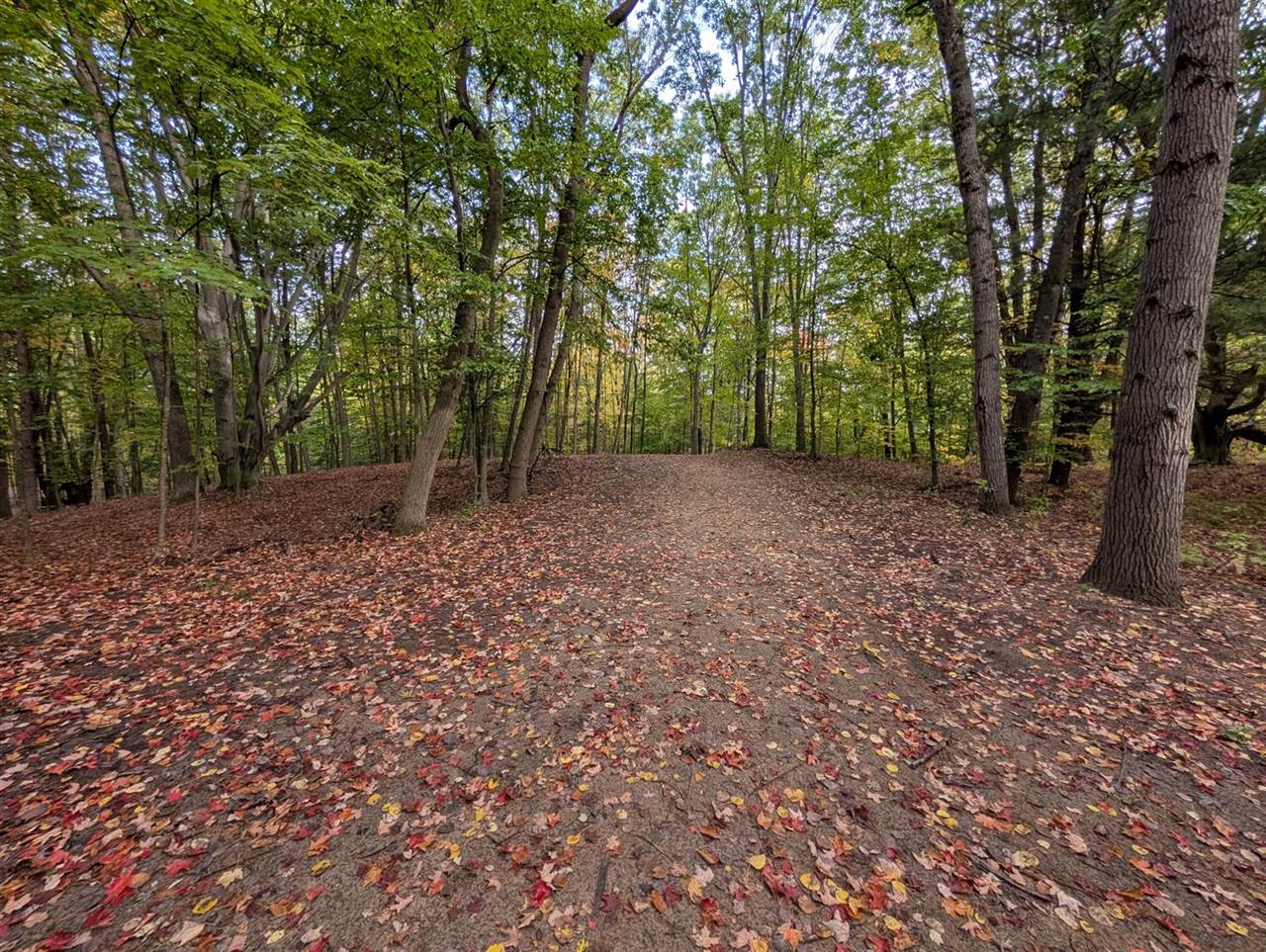 V/L East Kissing Oaks Trail, #164, Custer, MI 49405