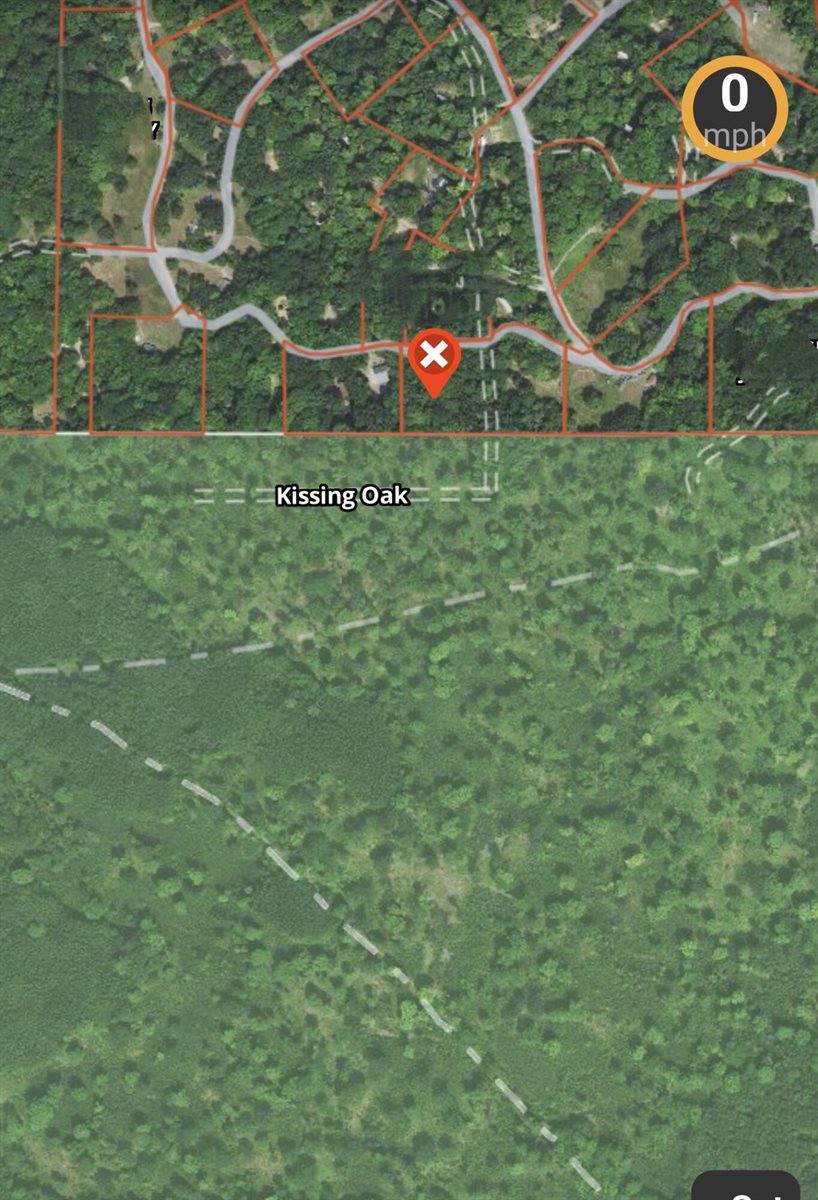 V/L East Kissing Oaks Trail, #164, Custer, MI 49405