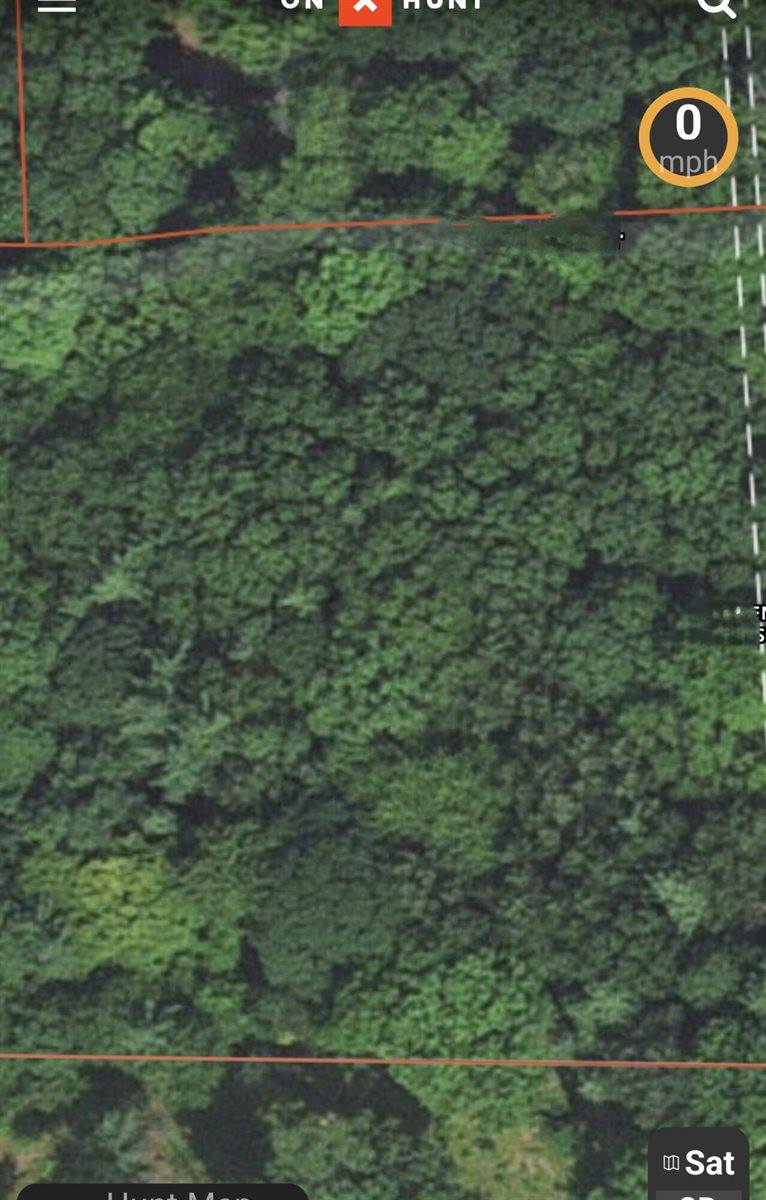 V/L East Kissing Oaks Trail, #164, Custer, MI 49405