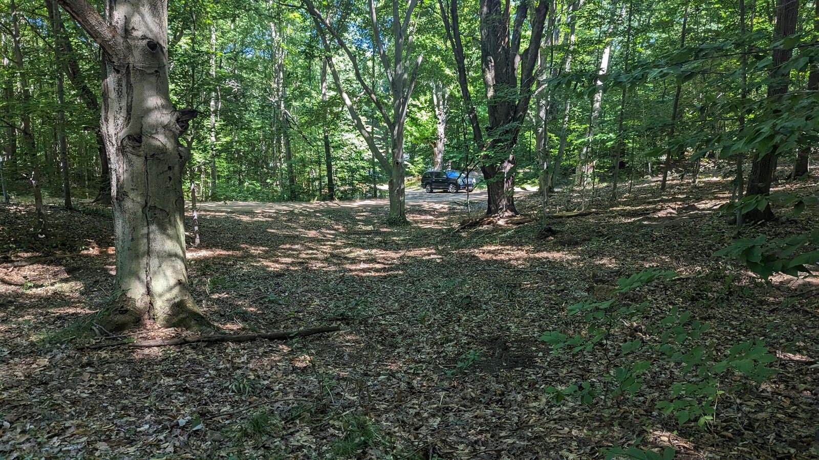 V/L East Kissing Oaks Trail, #164, Custer, MI 49405