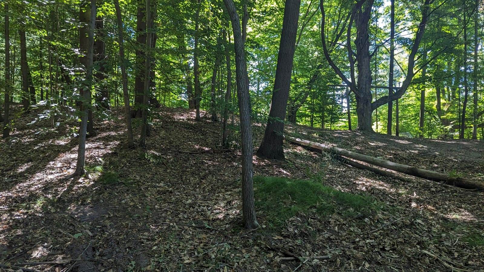 V/L East Kissing Oaks Trail, #164, Custer, MI 49405