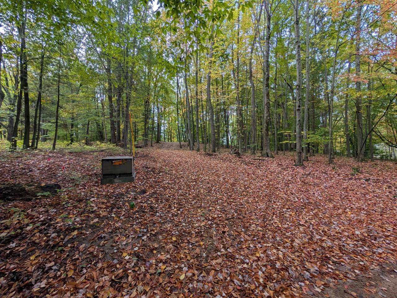 V/L East Kissing Oaks Trail, #164, Custer, MI 49405