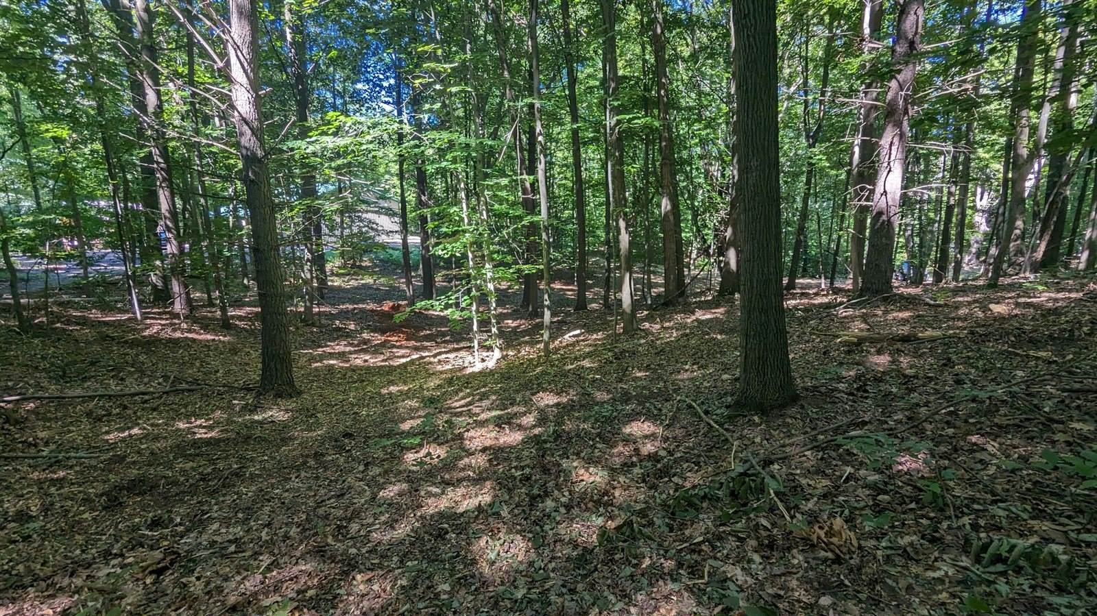 V/L East Kissing Oaks Trail, #164, Custer, MI 49405