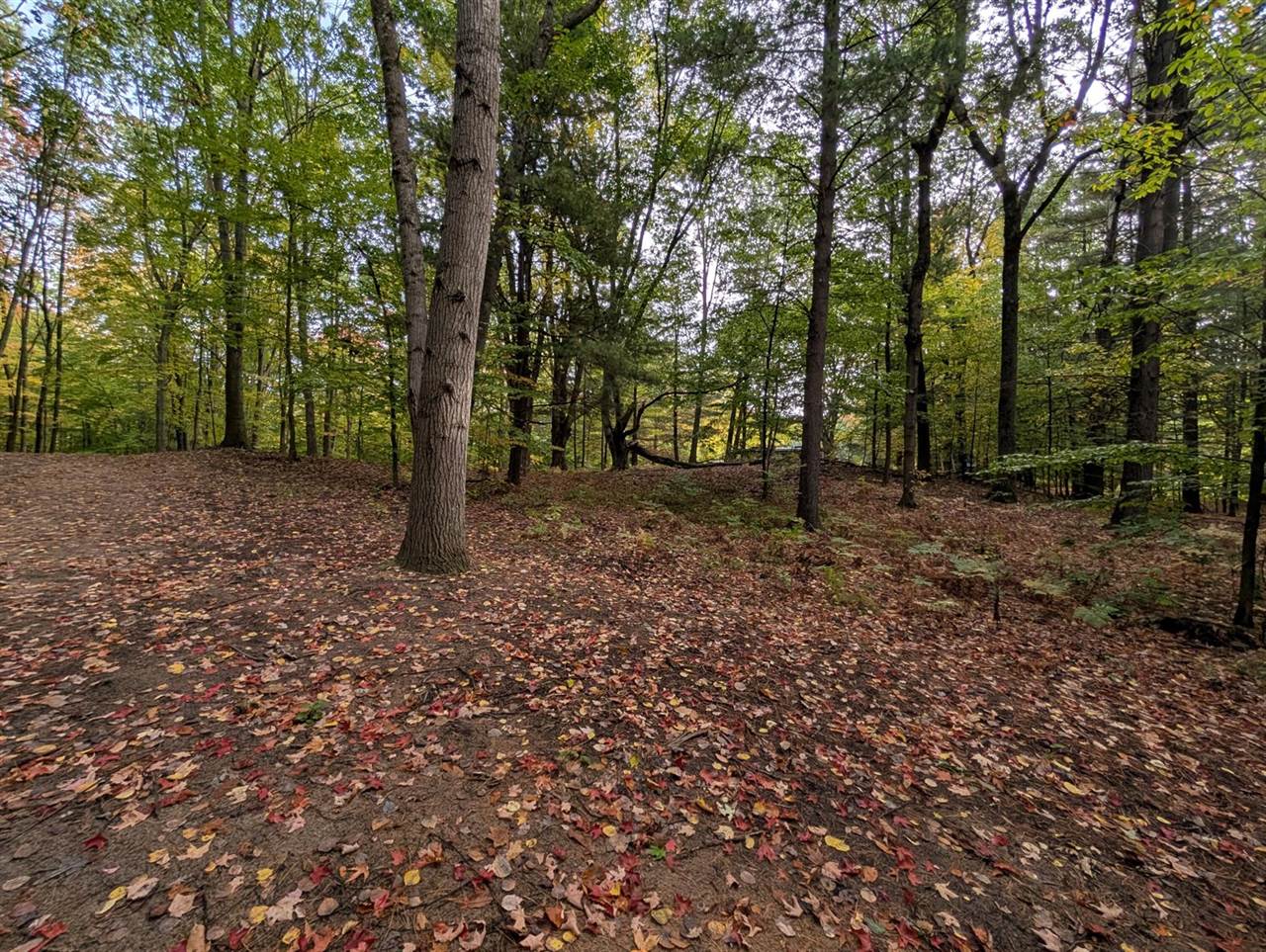 V/L East Kissing Oaks Trail, #164, Custer, MI 49405