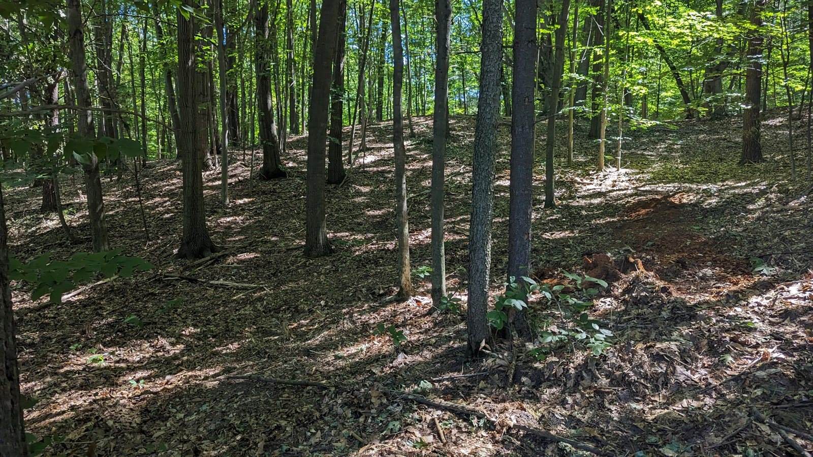 V/L East Kissing Oaks Trail, #164, Custer, MI 49405