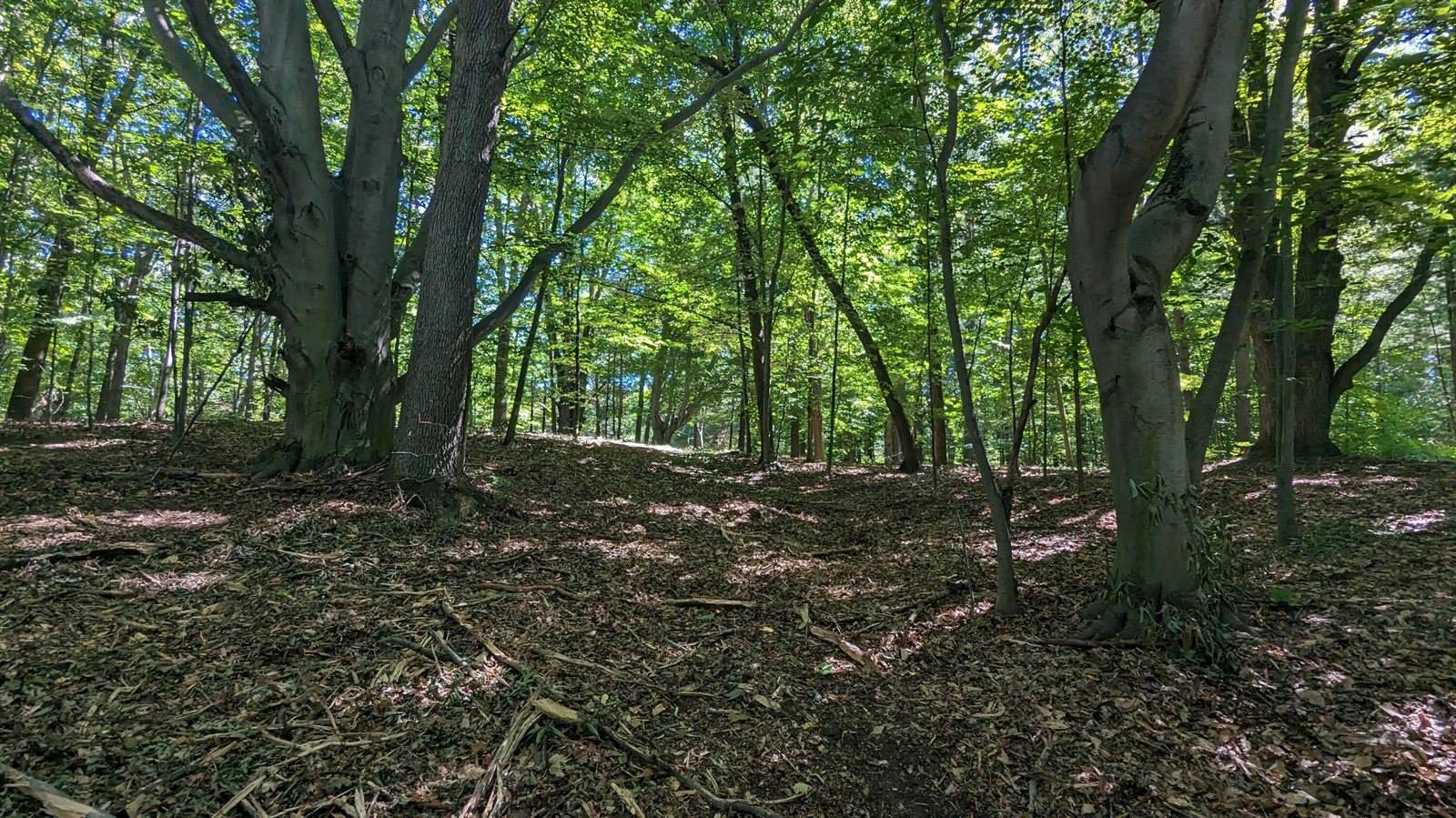 V/L East Kissing Oaks Trail, #164, Custer, MI 49405