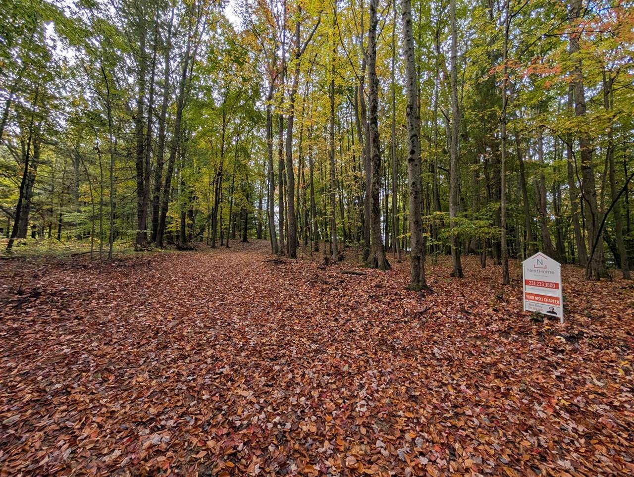 V/L East Kissing Oaks Trail, #164, Custer, MI 49405