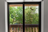 2918 NE 8th Ter 204, Wilton Manors, FL 33334