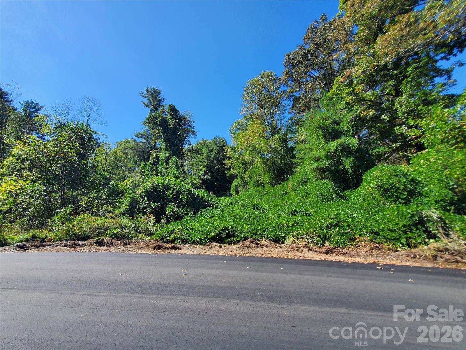 62 Oscelake Way, Hendersonville, NC 28739