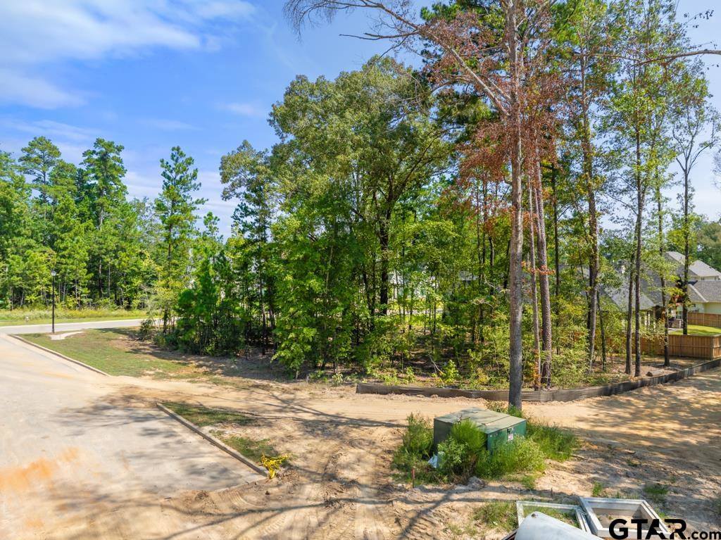 2348 Hidden Creek Trail, Tyler, TX 75703