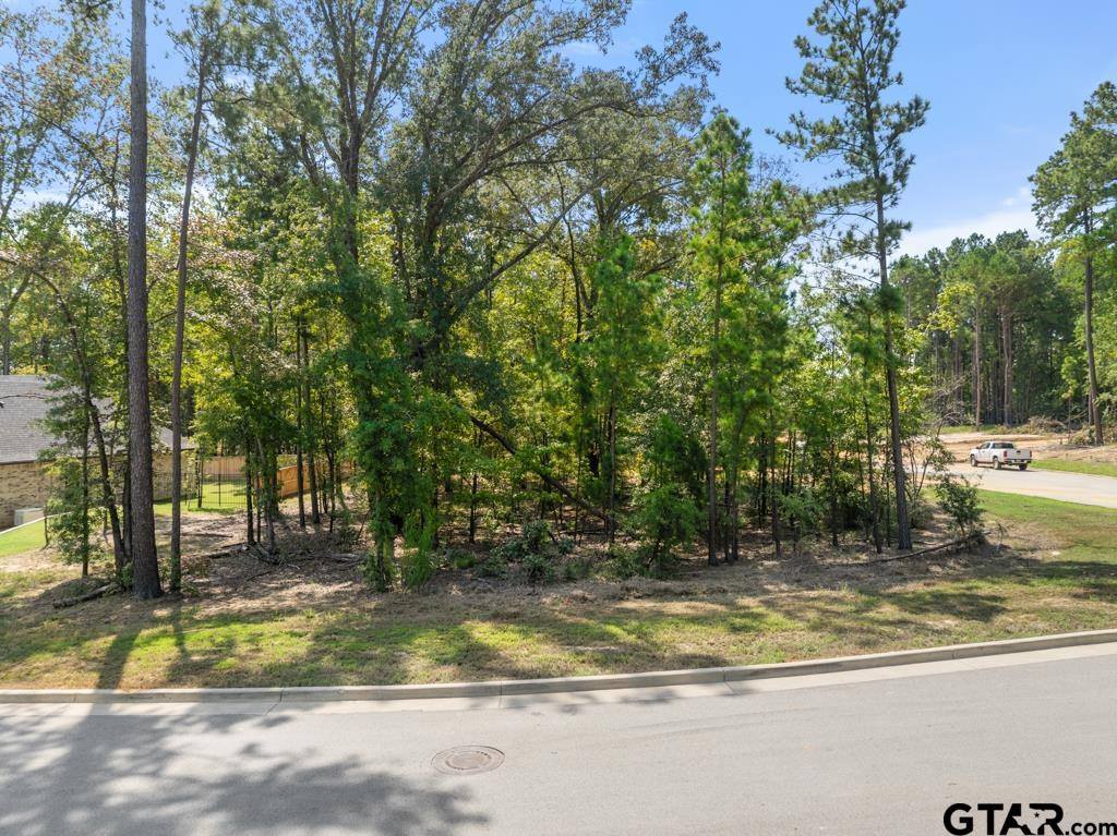 2348 Hidden Creek Trail, Tyler, TX 75703