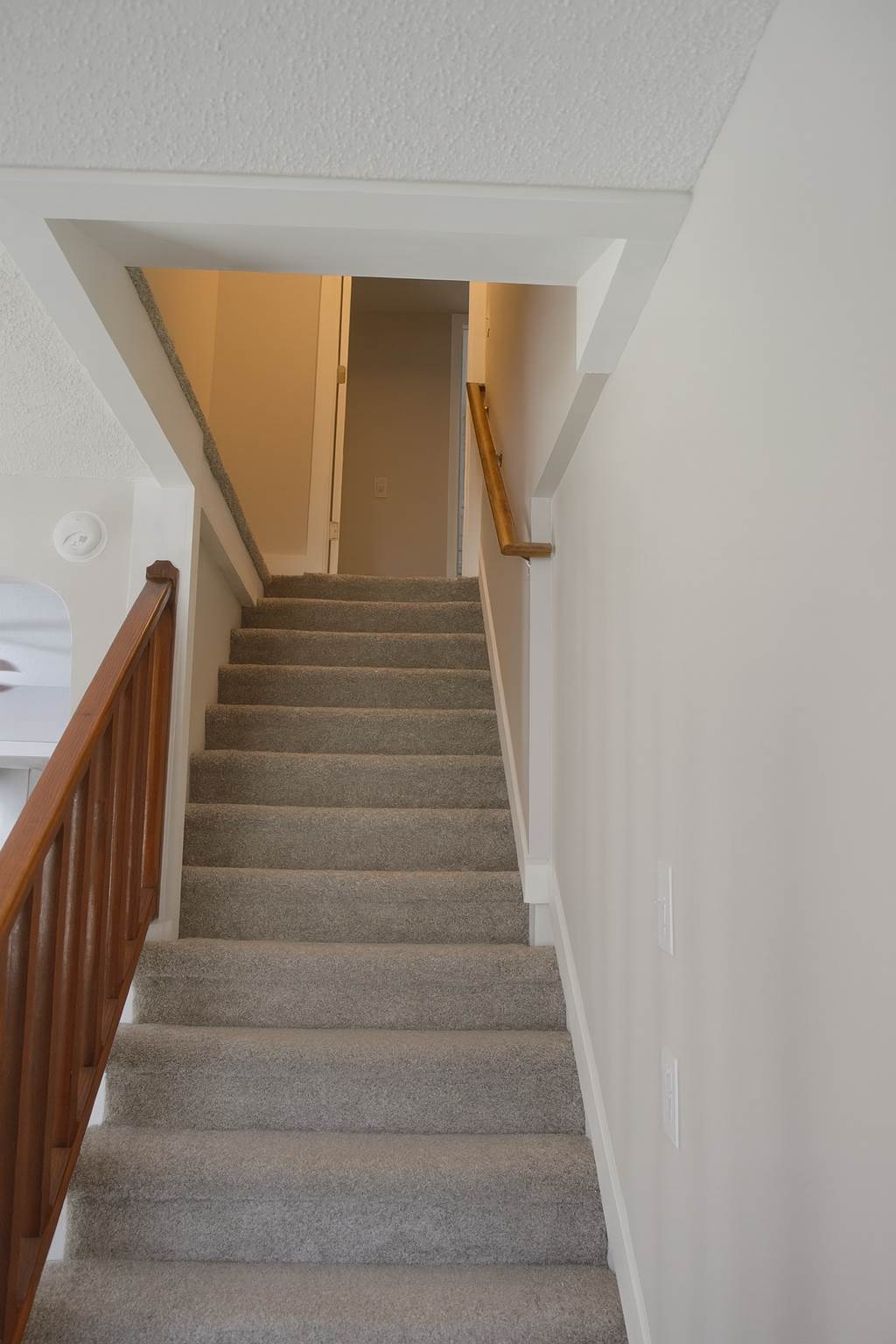 347 Cedar St, Roanoke Rapids, NC 27870