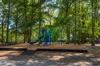 347 Cedar St, Roanoke Rapids, NC 27870