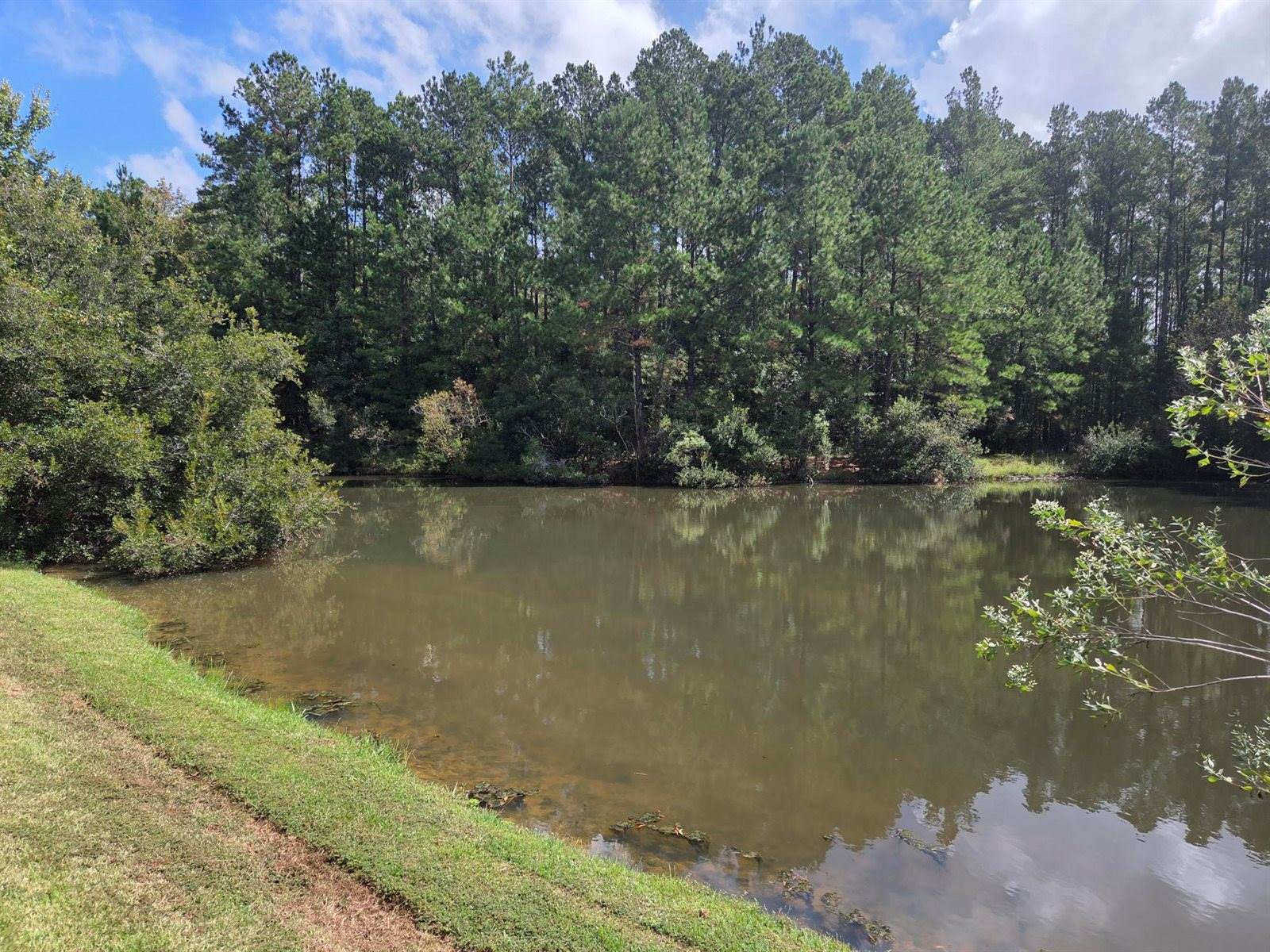 1052 Victoria Pointe Lane, Summerville, SC 29485