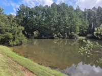 1052 Victoria Pointe Lane, Summerville, SC 29485