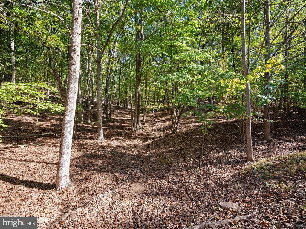 Potters Court, Gerrardstown, WV 25420