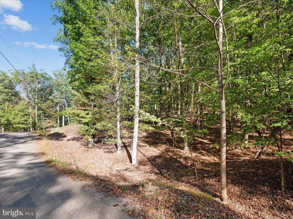 Potters Court, Gerrardstown, WV 25420