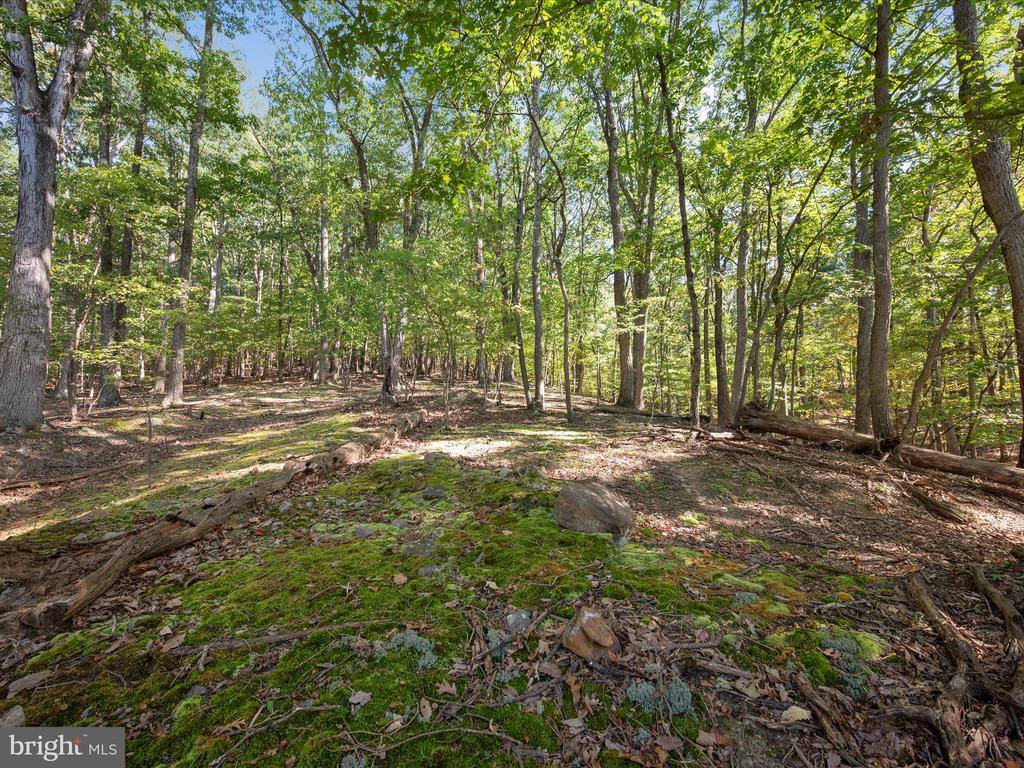 Potters Court, Gerrardstown, WV 25420