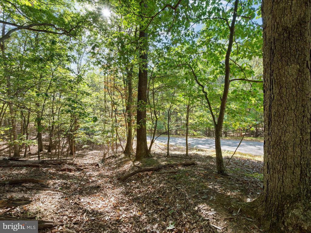 Potters Court, Gerrardstown, WV 25420