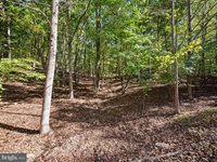 Potters Court, Gerrardstown, WV 25420