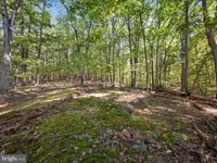 Potters Court, Gerrardstown, WV 25420