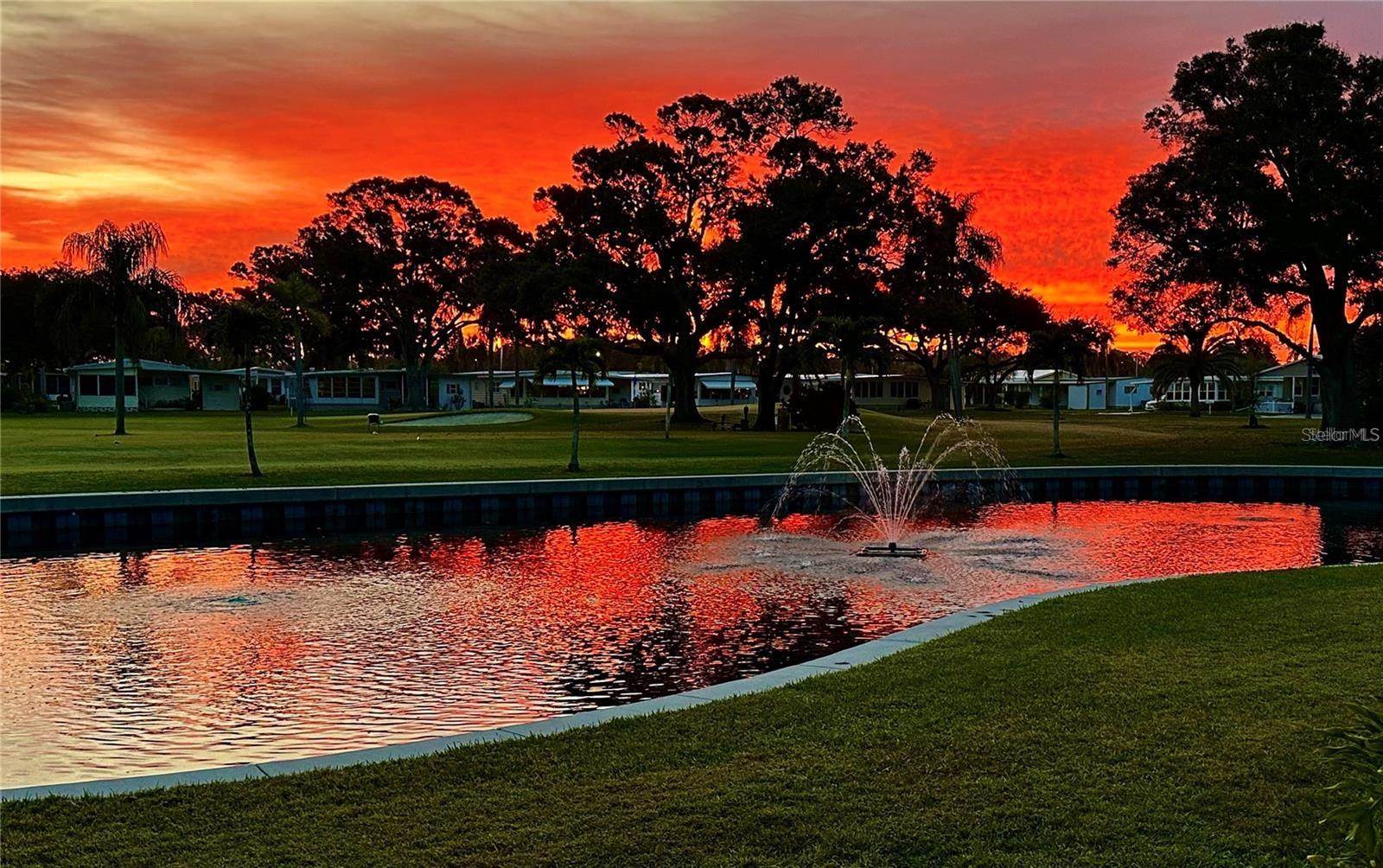 1100 Belcher Road South, #454, Largo, FL 33771