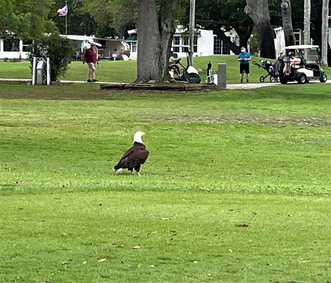 1100 Belcher Road South, #454, Largo, FL 33771