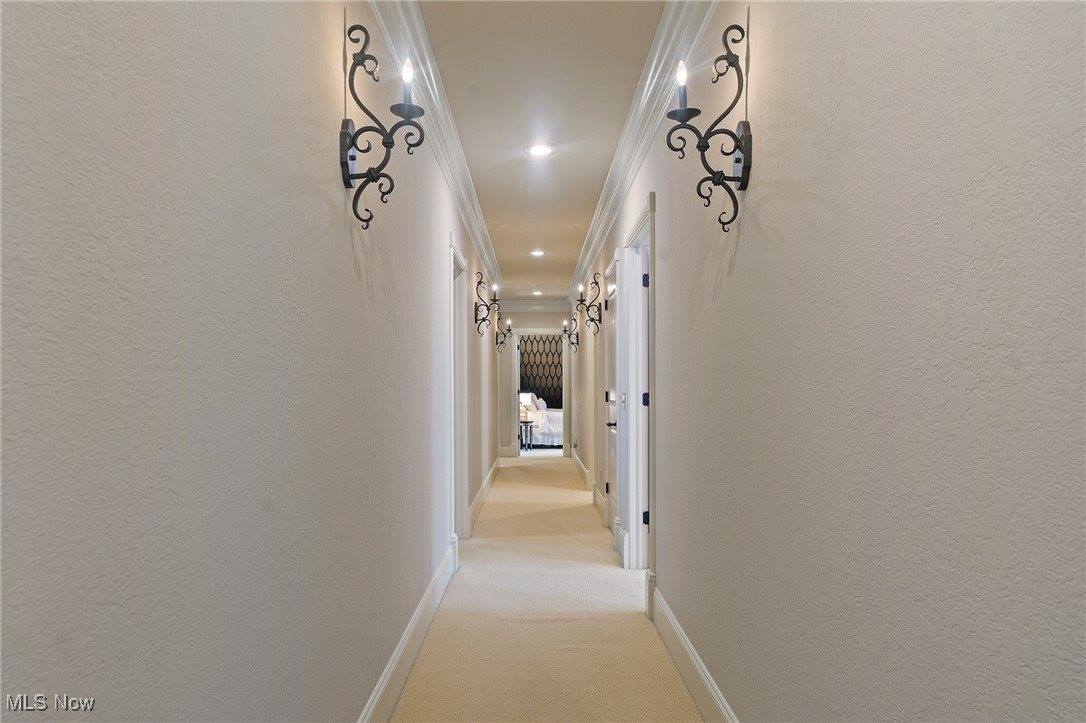 8068 Maplevale Drive, Canfield, OH 44406