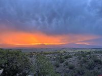 19438 6495 Trail, Montrose, CO 81403