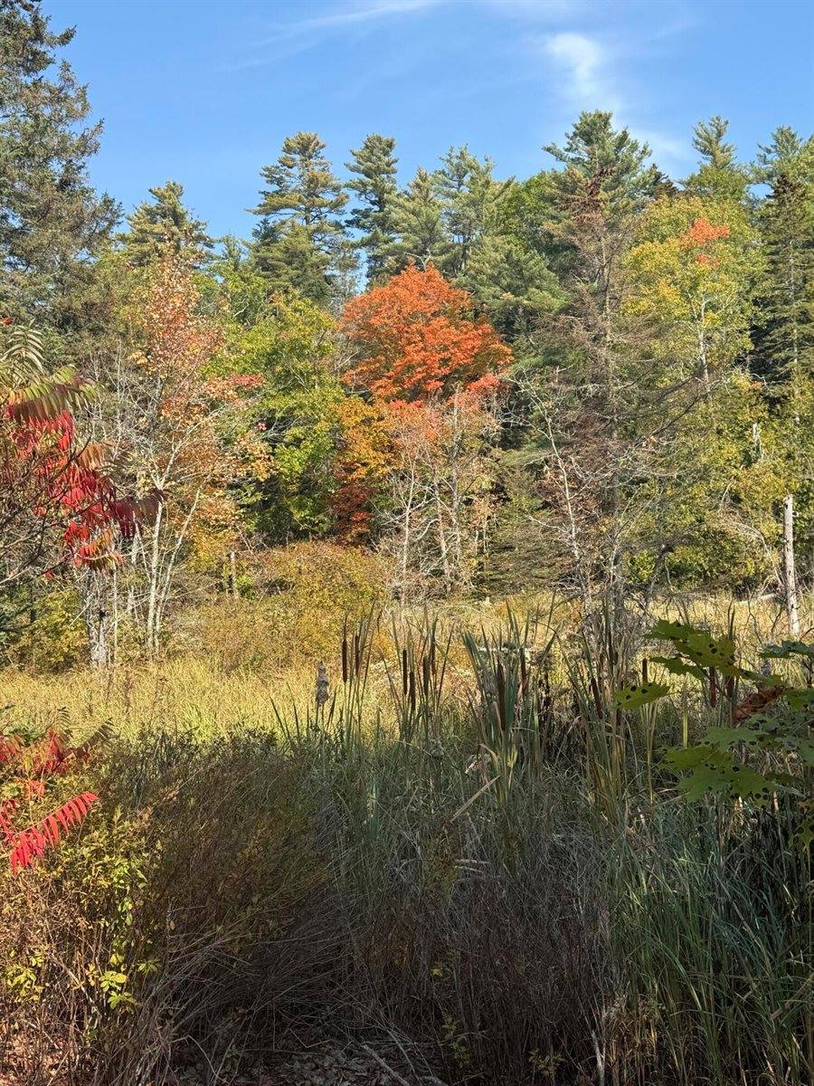 43 Front Street, Pembroke, ME 04666