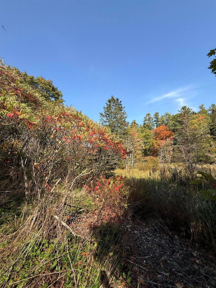 43 Front Street, Pembroke, ME 04666