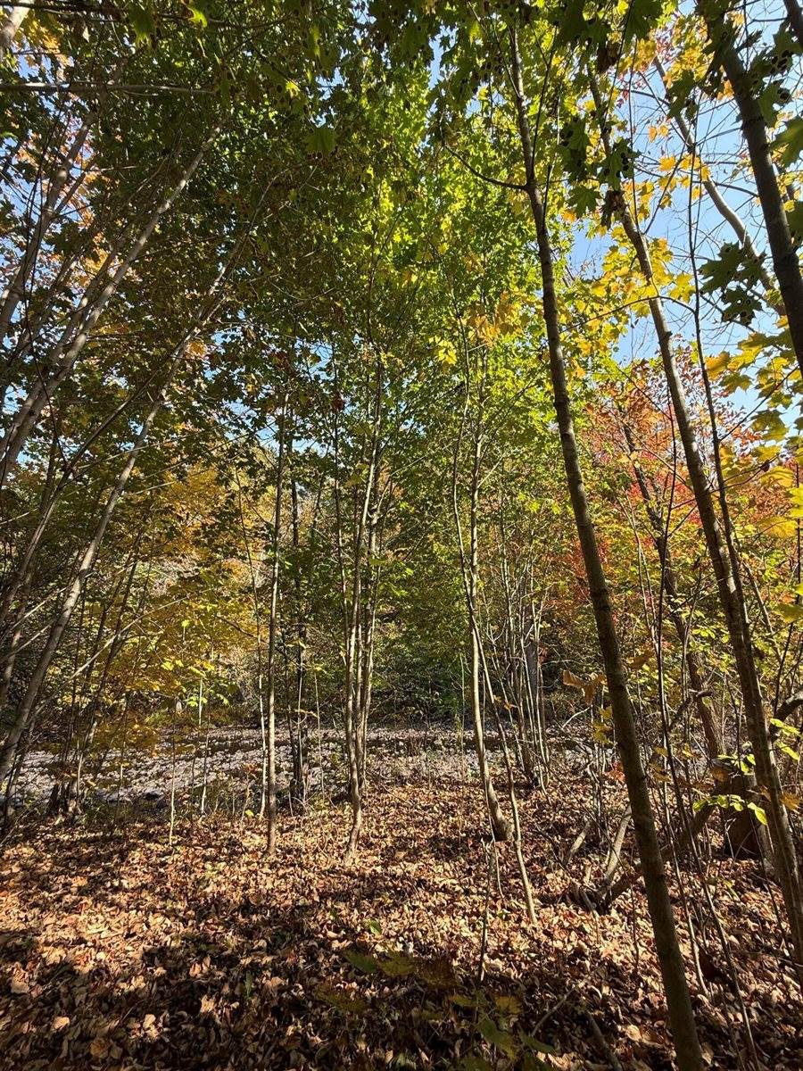 43 Front Street, Pembroke, ME 04666