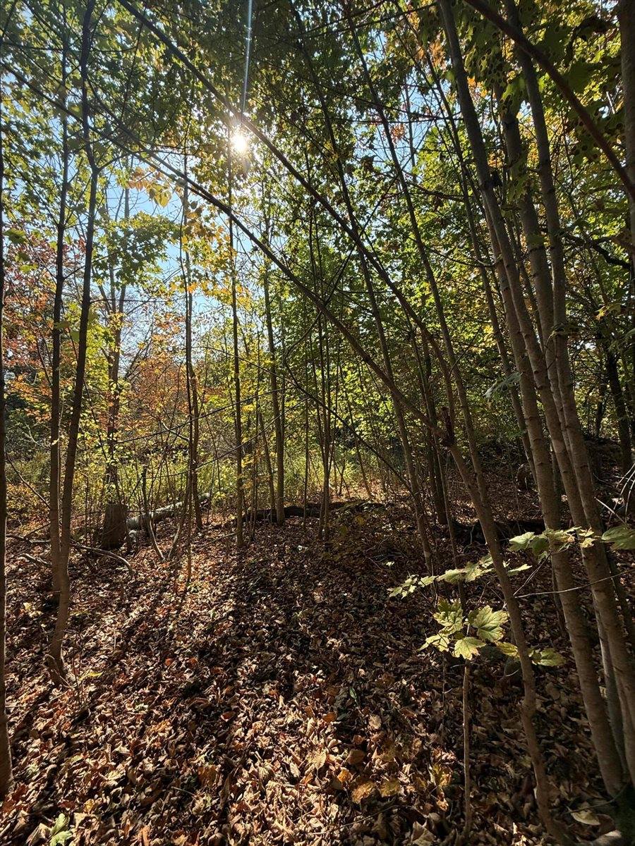 43 Front Street, Pembroke, ME 04666