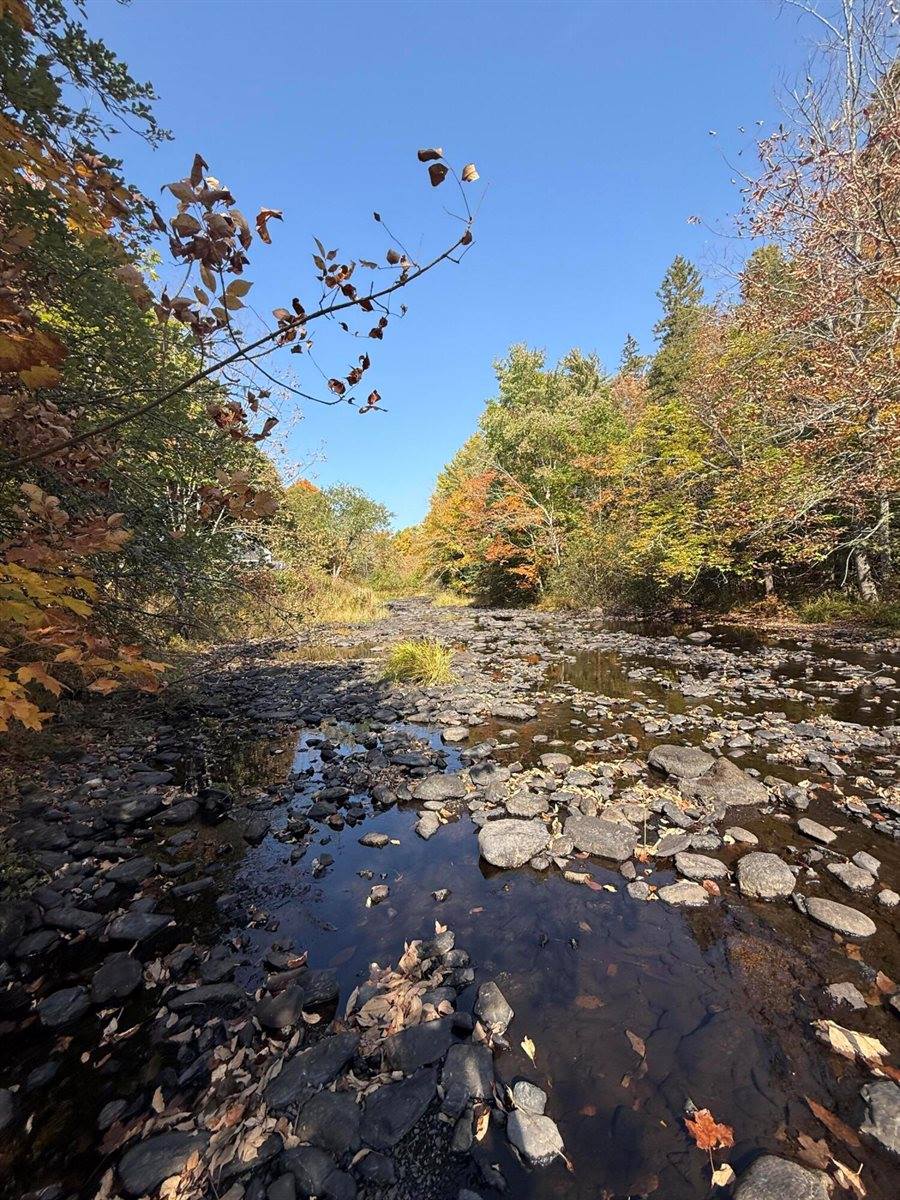 43 Front Street, Pembroke, ME 04666