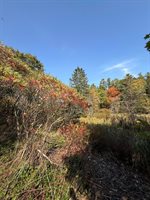 43 Front Street, Pembroke, ME 04666