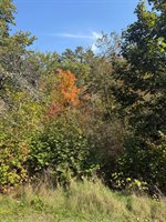 43 Front Street, Pembroke, ME 04666