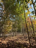 43 Front Street, Pembroke, ME 04666