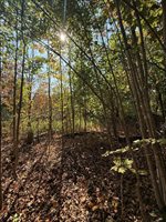 43 Front Street, Pembroke, ME 04666