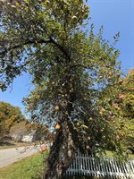 43 Front Street, Pembroke, ME 04666