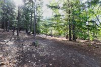 9356 Rockys Road, Middletown, CA 95461