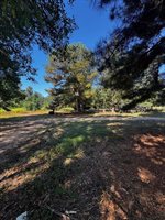 2520 South Stateline Ave, Texarkana, TX 75501