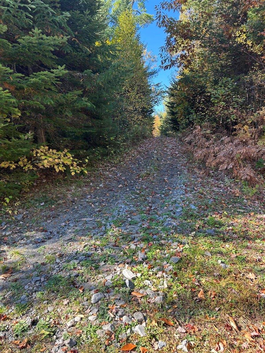 M1/L1-3 Bowerbank Road, Bowerbank, ME 04426