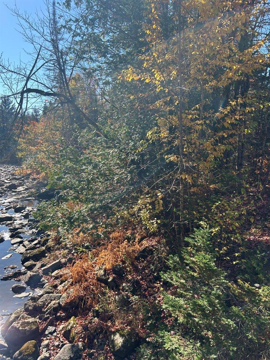 M1/L1-3 Bowerbank Road, Bowerbank, ME 04426