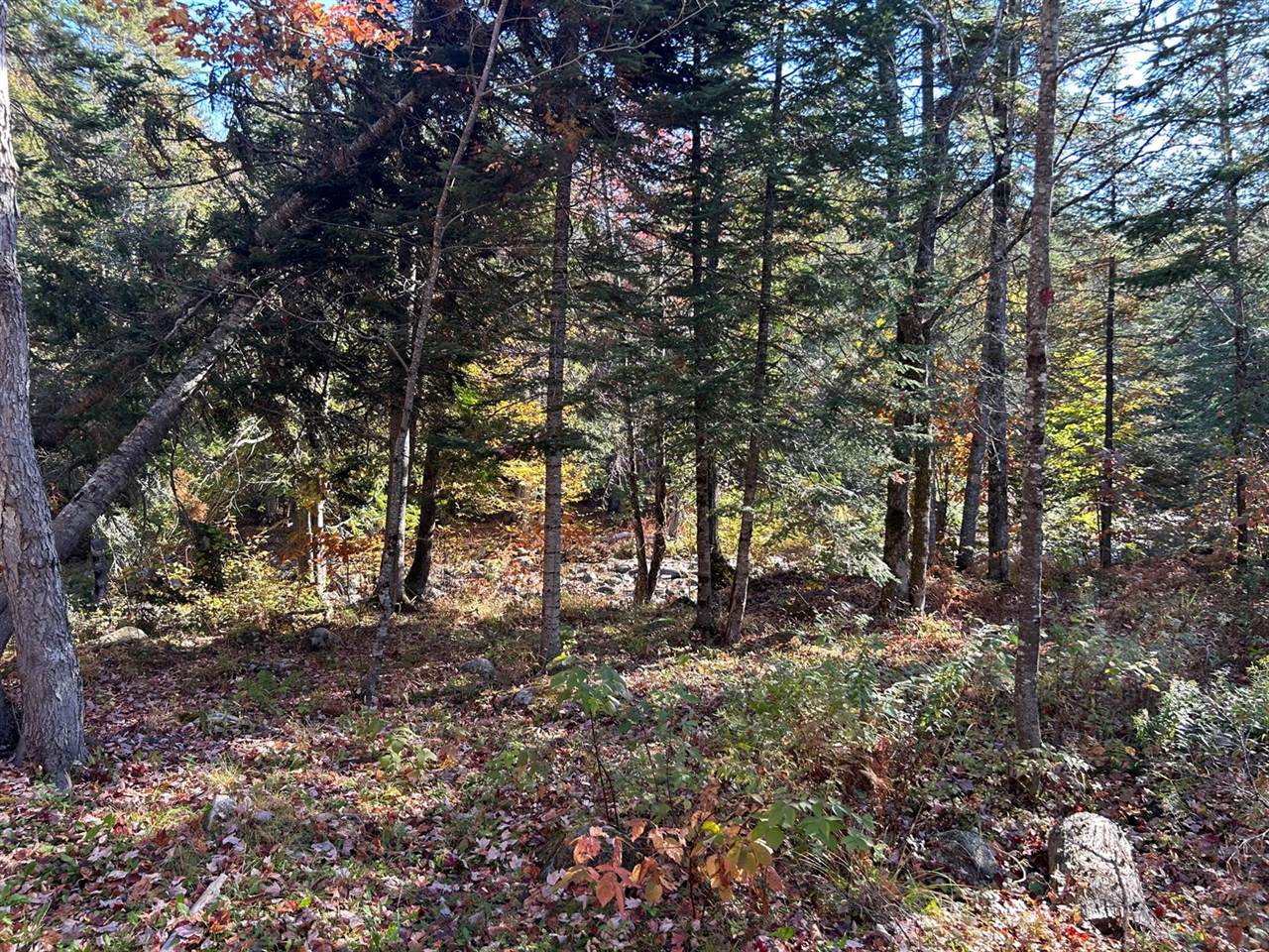 M1/L1-3 Bowerbank Road, Bowerbank, ME 04426