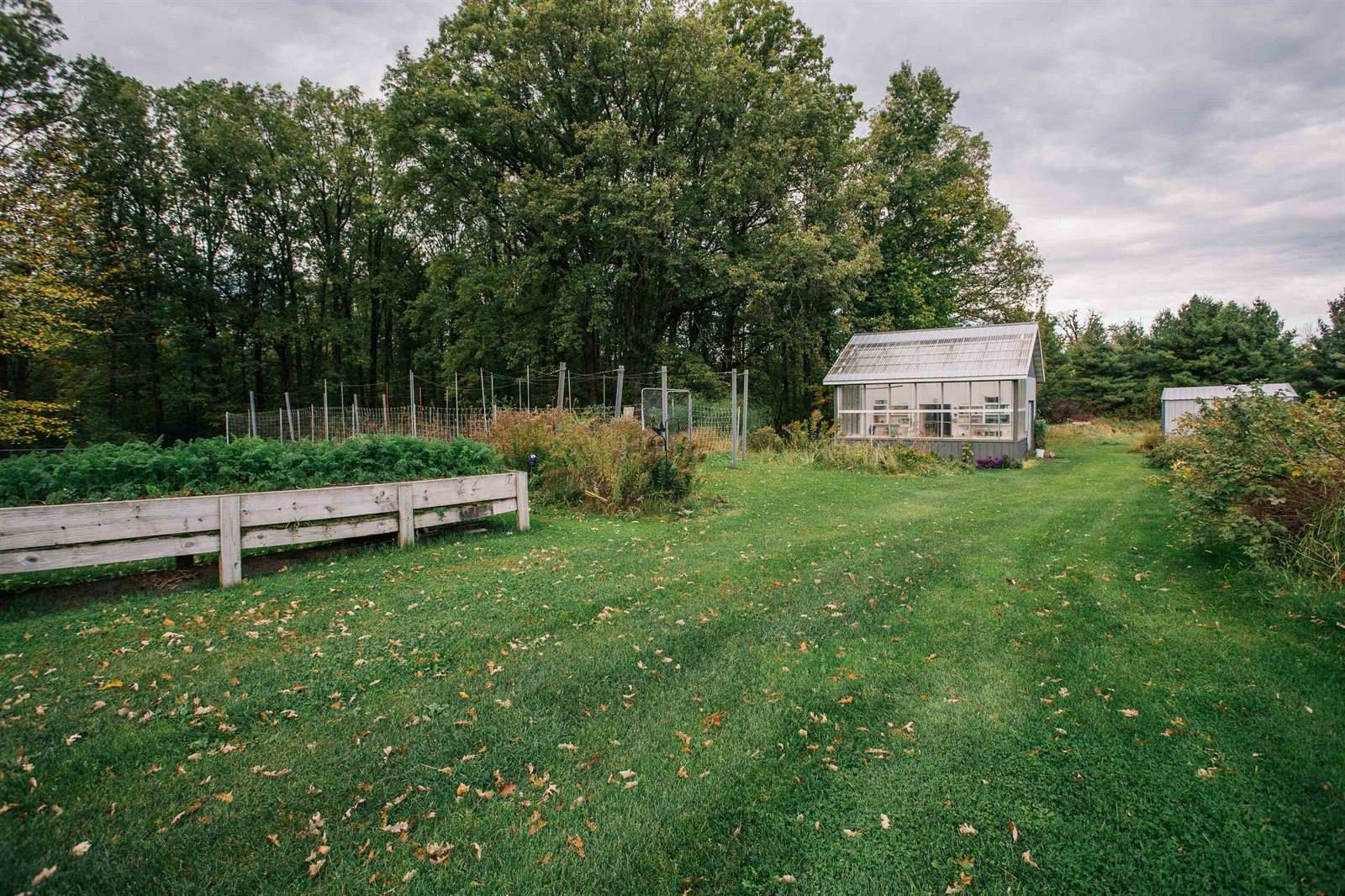 N6695 Pelsdorf Avenue, Granton, WI 54436