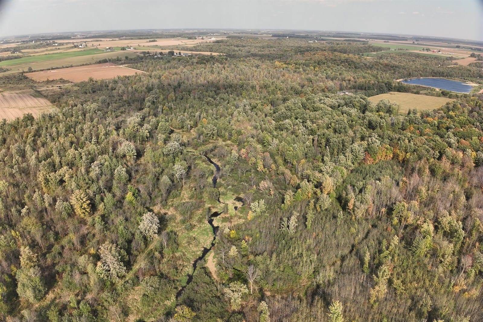 N6695 Pelsdorf Avenue, Granton, WI 54436