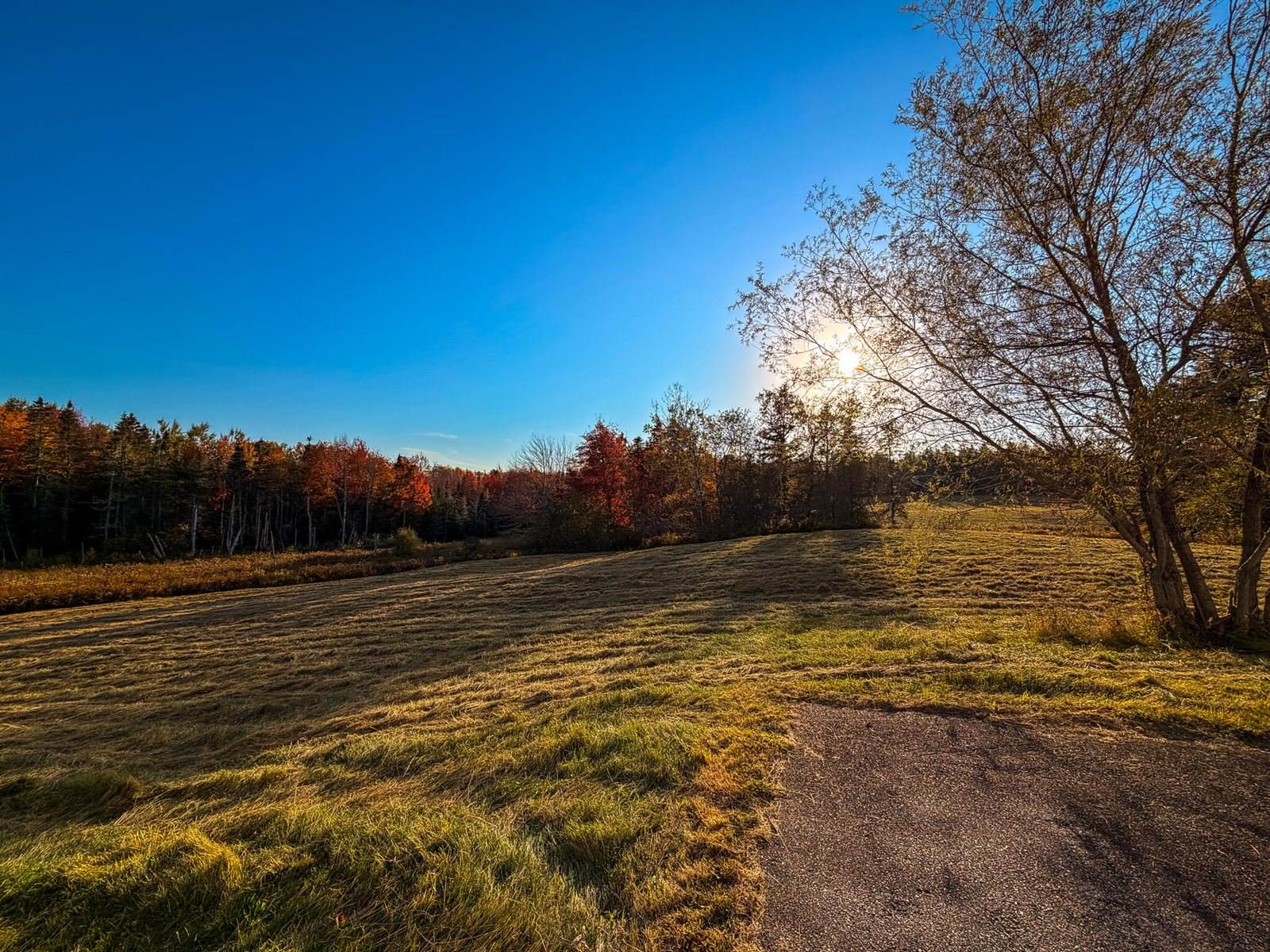 633 Milbridge Road, Cherryfield, ME 04622