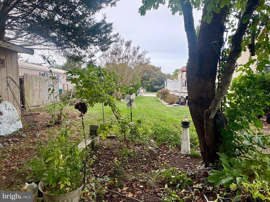 31614 Dogwood Court, Lewes, DE 19958