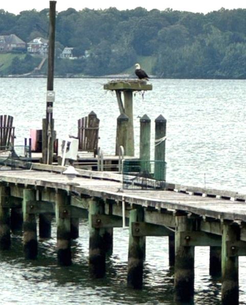 7589 Spencer Road, Gloucester Point, VA 23062